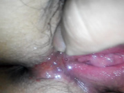laoshib