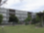 [KAWD-832]  美少女発掘！！岡山が生んだ奇跡 おっとり真面目な現役女子大生 kawaii＊即撮りAVデビュー 萩原理央