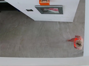 少女玛丽莲·舒格蹲立口交鸡巴疯狂深喉