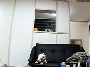 家庭網絡攝像頭破解拍攝到的奶子得挺大的姐妹倆洗澡更衣 貌似妹子身體全是傷疤還上藥 露臉高清