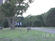 [HUNTC-142] 陸上部セクハラ下半身強化合宿！1cmハメ空気椅子で太ももガクガク！耐えられなくなったら即挿入！ - 1of5