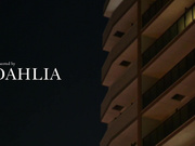 DLDSS-438 復活 糸矢めい 上司が出張で不在中、上司の妻とベロキス性交で濃密に求め合った日々…。 糸矢めい - 1of5