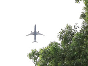 周甯 小只马求破处 教师节报恩性服侍