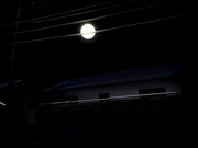 [夜桜字幕组][IMP]兄妹のジョウシキ