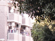 [IPTD-853] 全面監修 在丈夫的面前被侵犯 Rio1