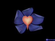 罗马尼亚美妇的色情按摩